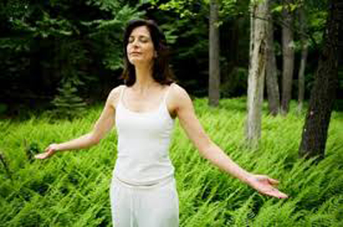 Ảnh[-]minh[-]họa.